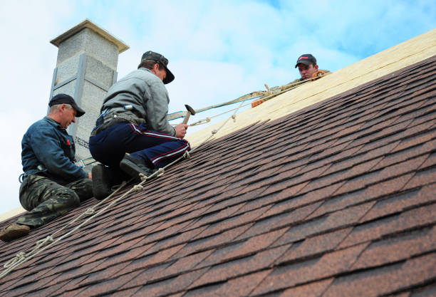 Best Commercial Roofing Services  in Long Lake, IL