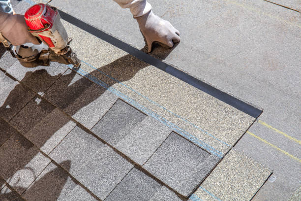 Best Roof Repair Services  in Long Lake, IL